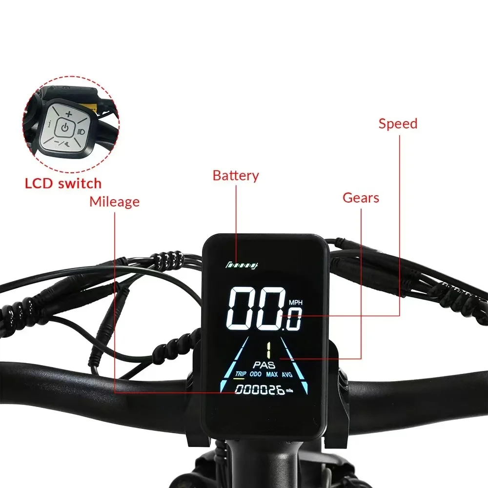 Electric Bike 2000W Dual Motor 48V20AH Lithium Battery 21 Speed E-bike Hydraulic Brake 26*4 Inch Fat Tire Snow Electric Bicycle 5